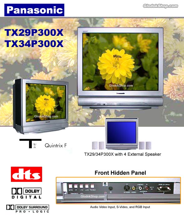 tv-panasonic_tx29-34p300x