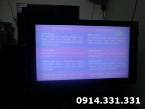 sua-tivi-lcd-sony-nhoe-mau